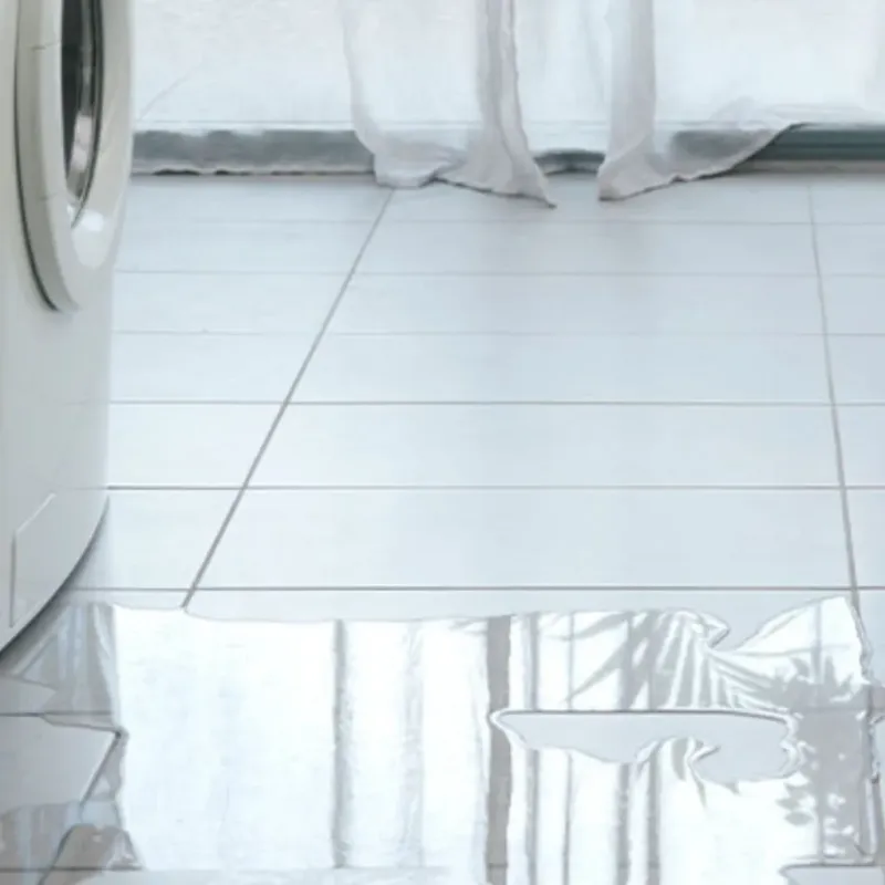 Appliance Leak Cleanup in Williams, OR