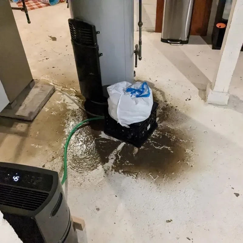 Sewage Backup Cleanup Service in Williams, OR